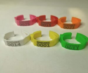 Adjustable Plastic Ring Legbands